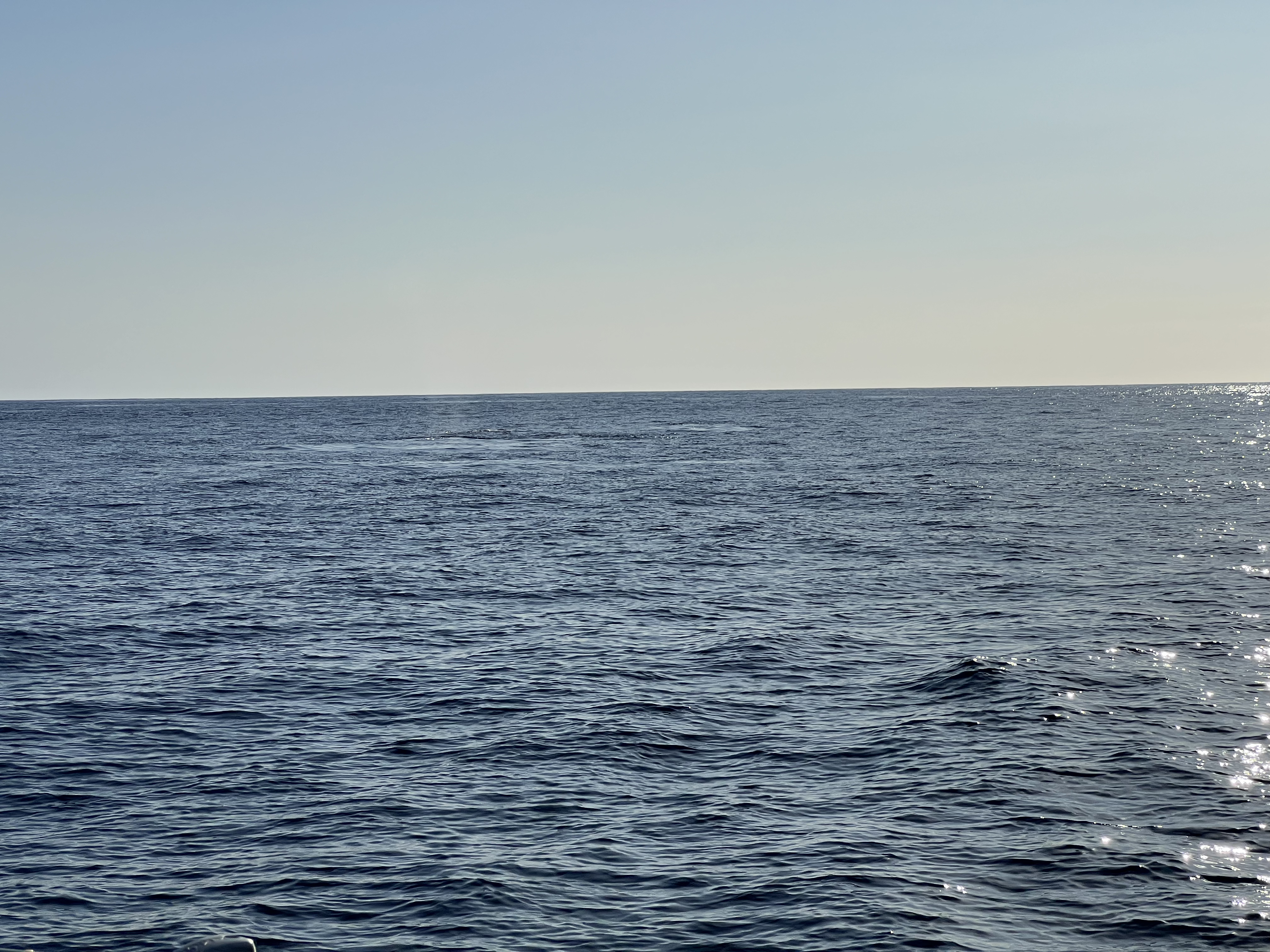 ./2024/13 - Cabo/IMG_4687.jpg